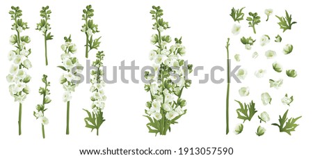 Delphinium larkspur isolated on white compilation 3d vector illustration set. Realistic floral parts, white and green flowers, leafs. Bouquet parts. Alternative medicine, phototherapy. Botanical  Royalty-Free Stock Photo #1913057590