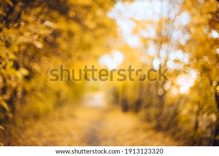 Orange autumn bokeh background from nature forest out of focus.Blured,design element. Defocused natural yellow tree background with sun beams. Royalty-Free Stock Photo #1913123320