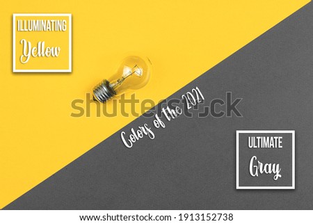 Ultimate Gray and Illuminating Yellow creative flat lay background of colors of the year 2021, minimalicstic vibrant banner with text heading inscription Royalty-Free Stock Photo #1913152738