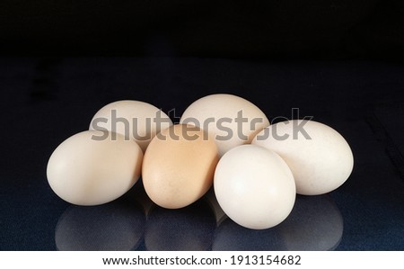 The Chicken egg to rest upon glass table with reflection. Products of the feeding on black background
