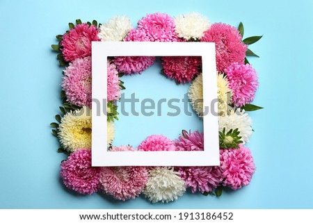 Frame of beautiful asters on light blue background, flat lay. Autumn flowers
