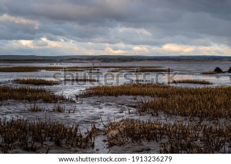 Winter evening landscape of the Skern area of Northam Burrows, near Appledore, North Devon. Royalty-Free Stock Photo #1913236279