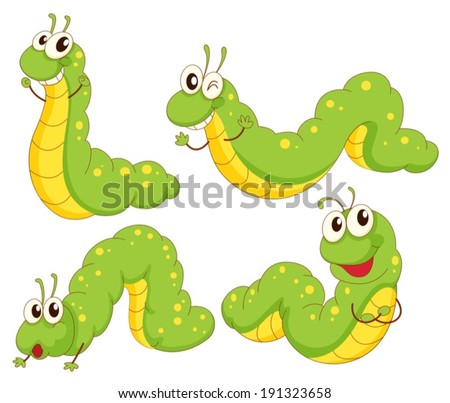 Illustration of the four green caterpillars on a white background