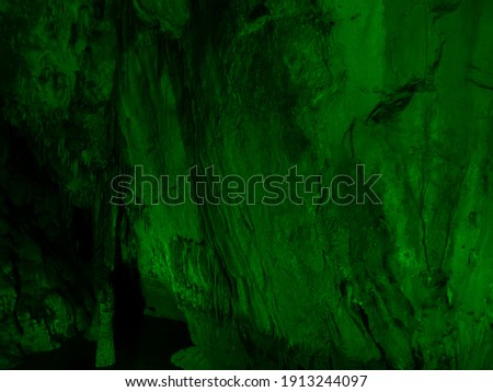 Nature elements of green colored texture. Background for designers