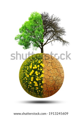 Lush and dry planet with tree isolated on a white background. Concept of change climate or global warming. Royalty-Free Stock Photo #1913245609