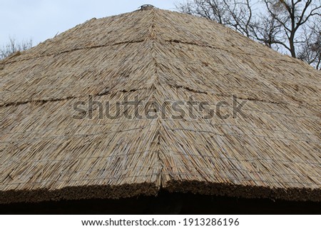 Straw roof on the cabin
