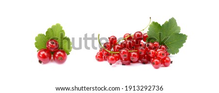  Fresh red currant isolated on white background Royalty-Free Stock Photo #1913292736
