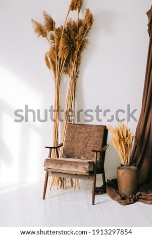 Armchair with decorative dried branches in living room with white walls and shadow from window.