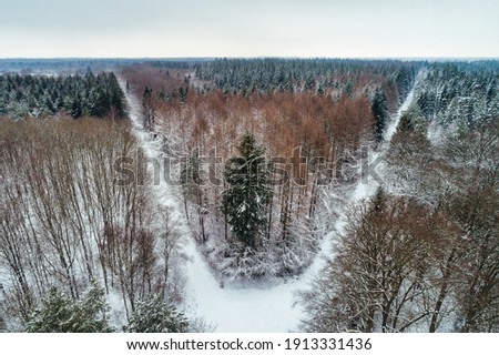 The forest lokally known as Hopelser Wald covered in snow