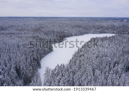 Landscape with winter air, snowy forest and lakes. Photo from the drone. Scandinavian nature, Finland. Nuxio, a cloudy day, ate under the snow