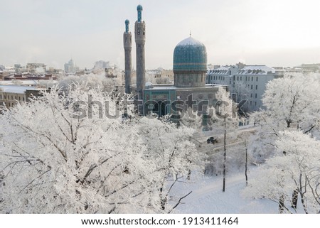 Aerial view of muslim Cathedral mosque in Saint-Petersburg in winter with hoarfrost on the trees, cold winter