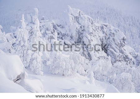 Winter landscape on mountainside. Trees and rocks are covered with snow. Branches of trees were bent with ice and frost