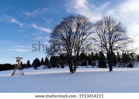 Winter hike in germany trees in winter land in snowy landscape