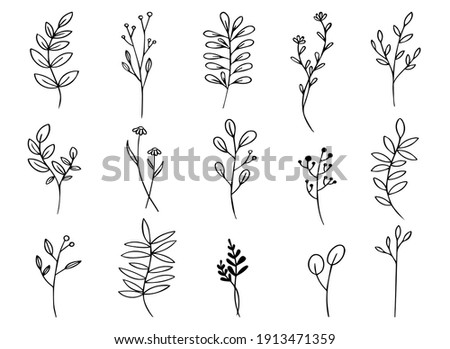 leaf and flower floral ornament template