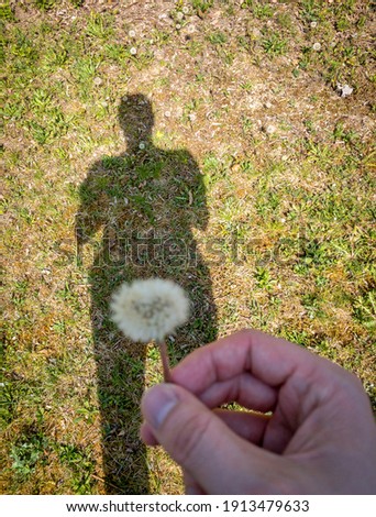 A mans shadow forming his silhouette to the grass holding a dandelion flower.
