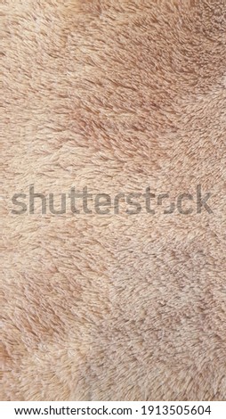 brown carpet texture so smooth