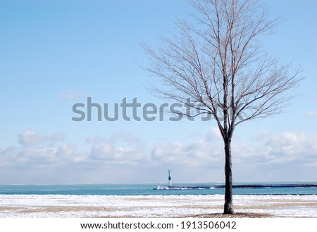 A single bare tree on the snow covered shore of Lake Michigan in Milwaukee Wisconsin