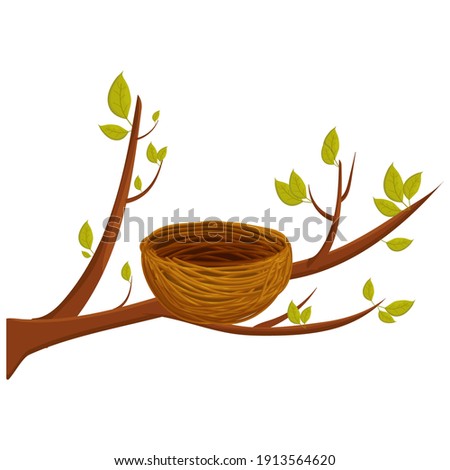 Empty bird nest from twigs on tree branch with leaves isolated on white background. Spring time, vector clipart, brown wooden construction, home from sticks. Detailed, bright object.