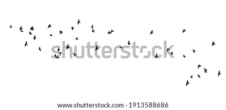 A flock of flying birds. Vector illustration Royalty-Free Stock Photo #1913588686