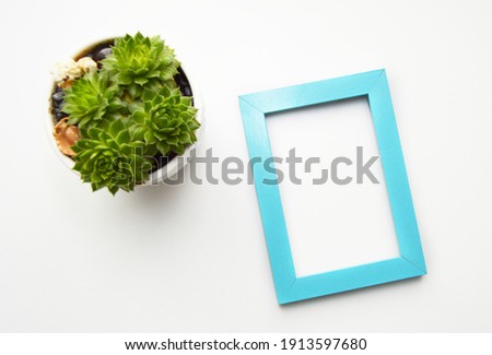 blue photo frame and potted succulent top view on white desktop
