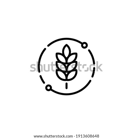 Vector farm wheat ears icon template. Linear whole grain symbol illustration. Simple oat growth design concept. Farm agriculture oat cycle sign