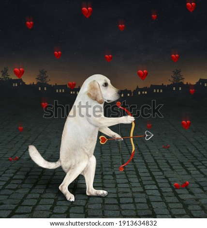 A dog labrador like the Cupid with a bow and an arrow is shooting to red hearts at night.