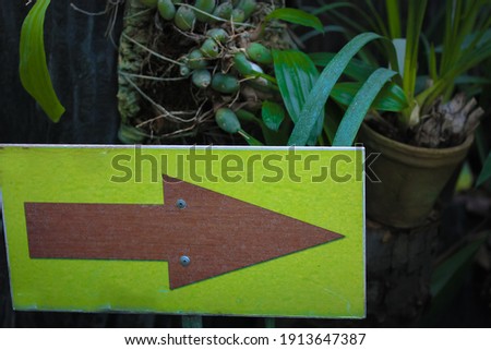 Blank wooden directional arrow sign on a green background pointing to the entrance to a botanical garden, greenhouse or jungle. Green tropical plants in the background.