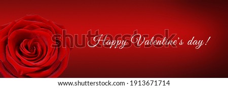 Macro image of red rose on a red background. Copy space for text. Banner.Happy Valentine's Day