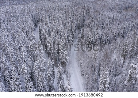 View from the drone to the snowy forest and the road. Finland. Scandinavian nature.
