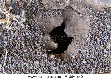 Brown earth dirt with a deep black hole in the ground                              