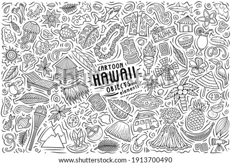 Line art vector hand drawn doodle cartoon set of Hawaii theme items, objects and symbols