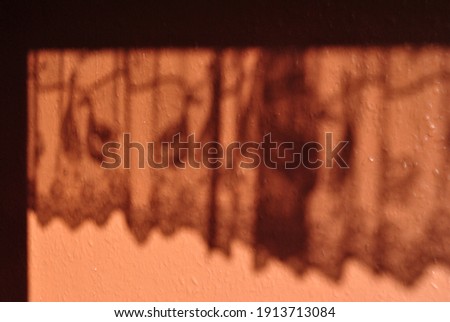 Shadow of Old Curtain with Ducks on Wall 