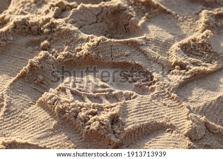 a living footprint in the sand