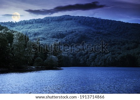 lake among beech forest in summer at night. beautiful nature landscape in mountains. vihorlat national park in full moon light 