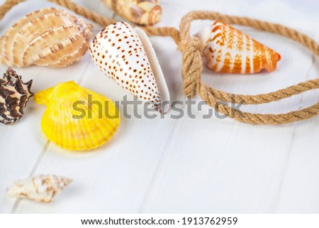Summer vacation concept. Sea shells with rope on white wooden background, copy space.