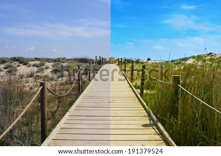 landscape with a broadwalk before and after the image editing process