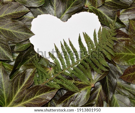 Card in the shape of a white heart with a fern branch on a background of leaves