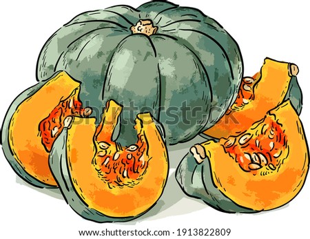 Vector illustration with whole pumpkin and pumpkin slices, pieces