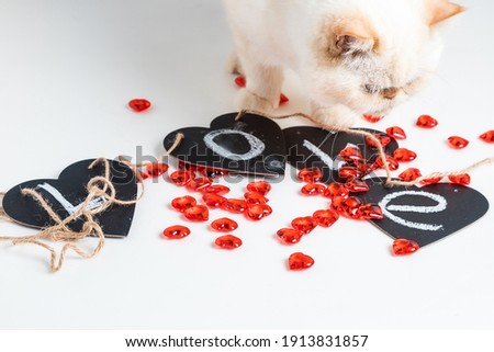 Black hearts with the inscription love. Isolate on white. Red glass hearts. A white cat on the table.