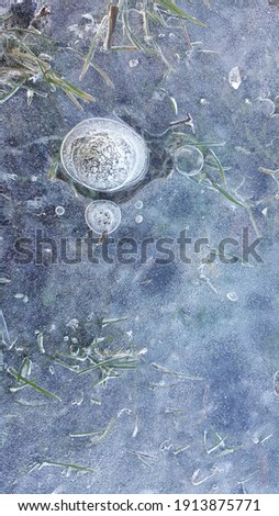 Grass under the ice. Thick ice crust with air bubbles and frozen plants in the ice
