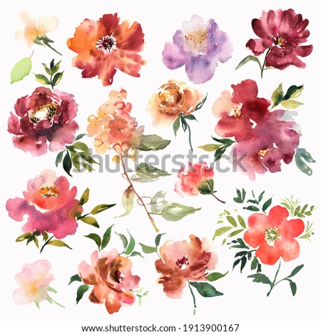 Watercolor texture. Flowers hand drawn colorful beautiful floral set with yellow pink red blossom plant for cards prints and invitation. Vector