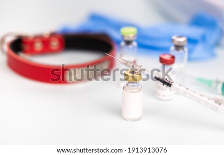 Syringe and ampoule mock-up on a blurred background of the collar. The concept of veterinary medicine, injection, vaccine, animal care, treatment. 