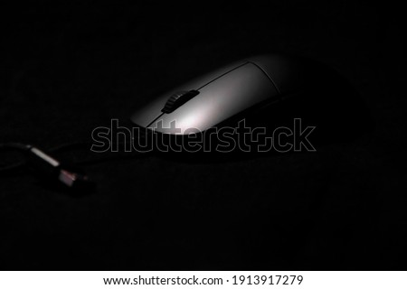 This is a mouse pictures like this (Black on Black) are called "low key" 