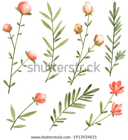 Detailed botanical clip art. Watercolor cute flowers. Pink red blossom with green leaves. Objects isolated on white background. Botanical illustration