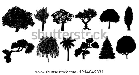 Silhouettes of trees big collection. Vector illustration
