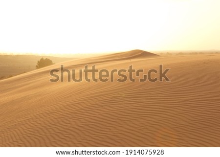 A view of desert dunes at sunset. Beautiful sand dunes in the Sahara desert at Morocco
