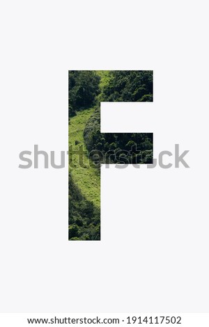 Letter F of the alphabet with beautiful green forest background. Character alphabet, text, texture of green plant pattern inside letter isolated on white background.