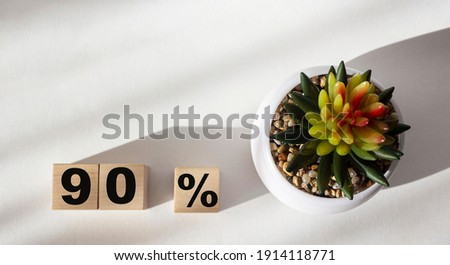 90 percent written on wooden cubes isolated on white background, top view, copy space and with cactus flower.