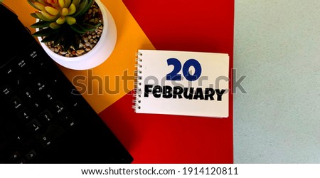 February 20 on a multicolored background on a white notebook.Next to it is an artificial flower in a pot .Calendar for February.