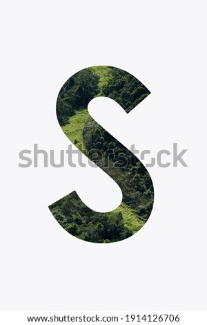 Letter S of the alphabet with a beautiful photography of a green forest background. Photo of a character alphabet with texture of green plant pattern inside letter isolated on white background.